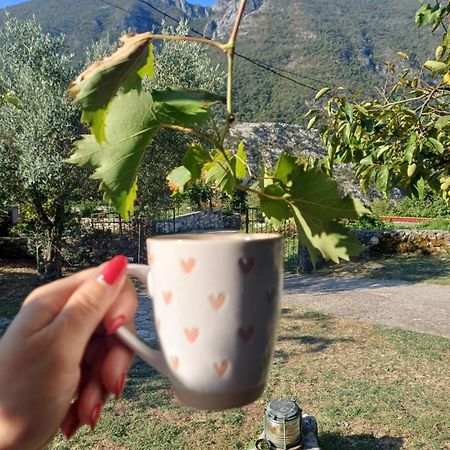 Sailor'S Rustic House Villa Virpazar Exterior photo