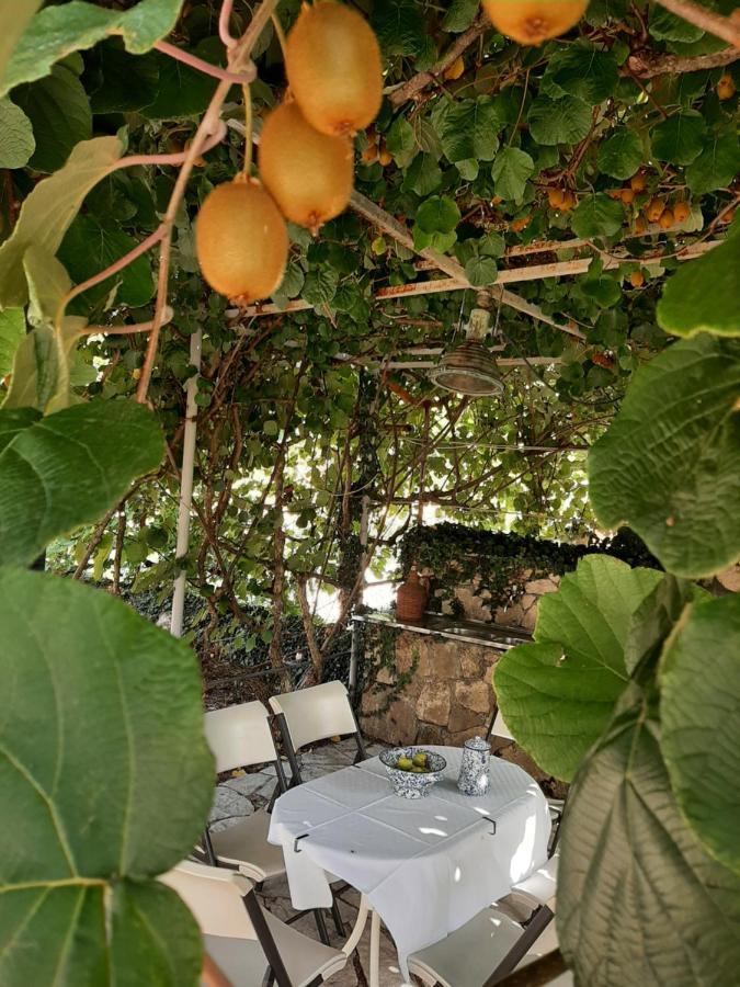 Sailor'S Rustic House Villa Virpazar Exterior photo