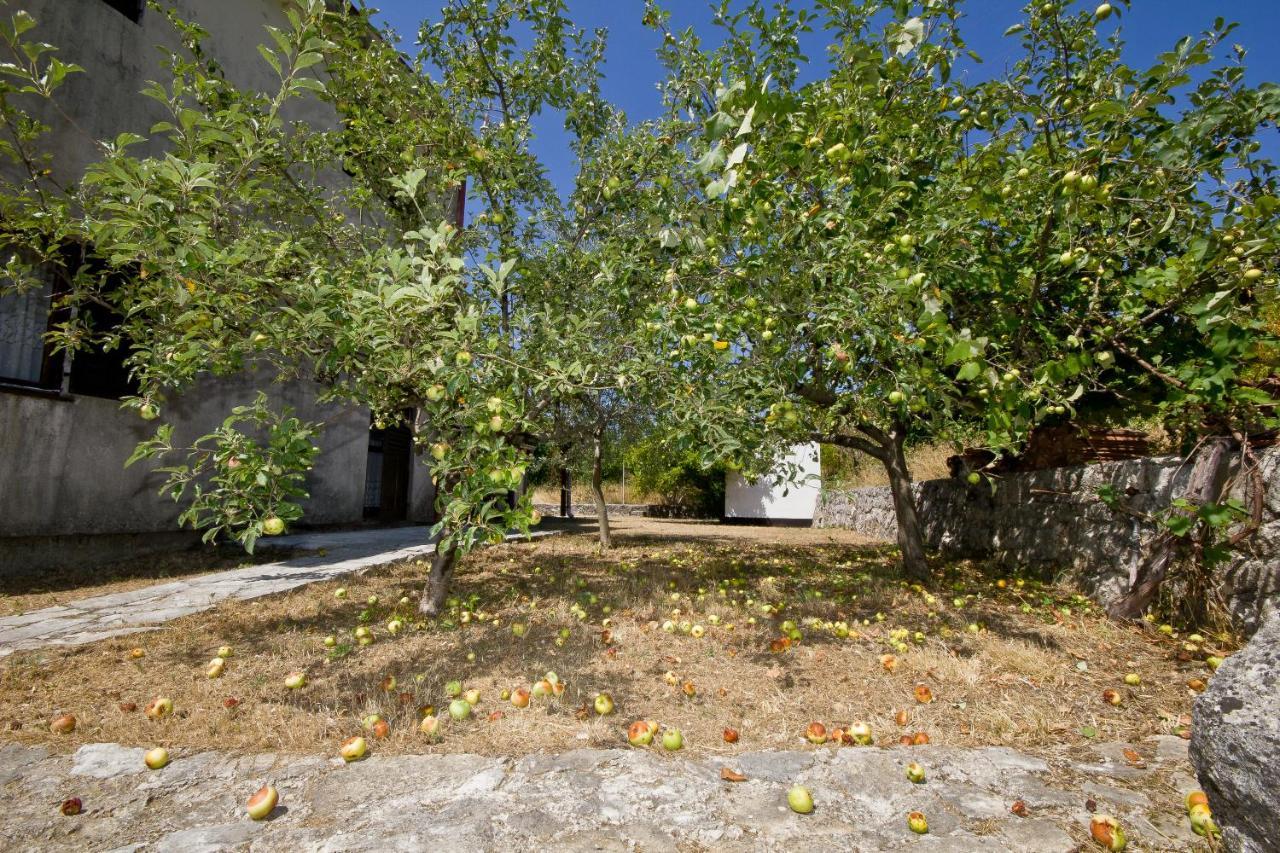 Sailor'S Rustic House Villa Virpazar Exterior photo