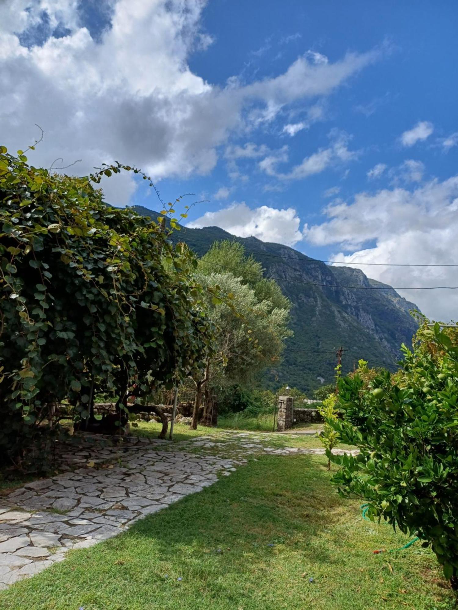Sailor'S Rustic House Villa Virpazar Exterior photo